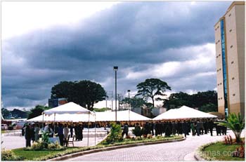 toldomas018
