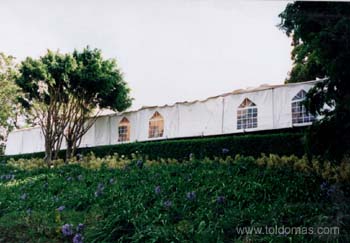toldomas026